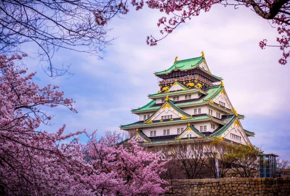 Japonya ve Güney Kore Kültür Programı görseli