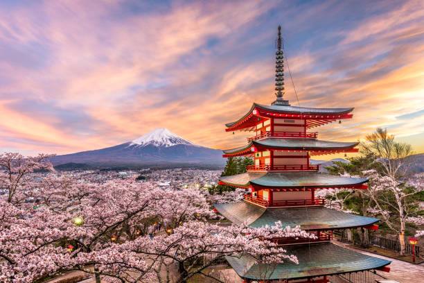 Japonya ve Güney Kore Kültür Programı görseli